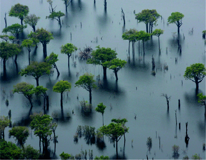Paisagem amazônica alagada vista de cima
